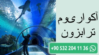 آکواریوم ترابزون
